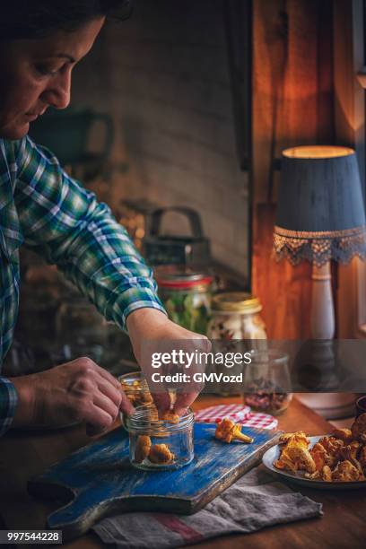 preserving organic mushrooms in jars - gmvozd stock pictures, royalty-free photos & images