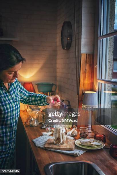 preserving organic mushrooms in jars - gmvozd stock pictures, royalty-free photos & images