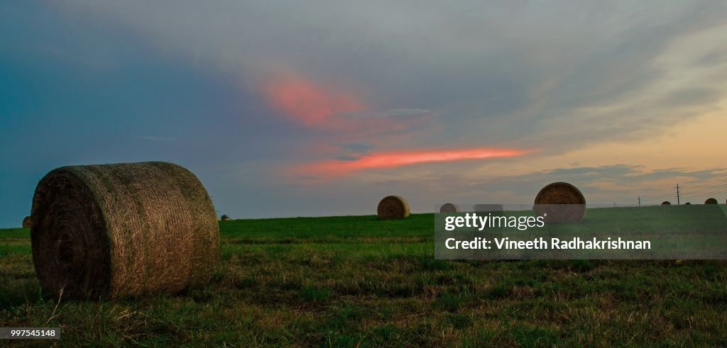 HarvestingTime