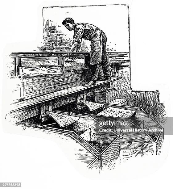 Engraving depicting the process of making lead shots: sorting shot. Dated 19th century.