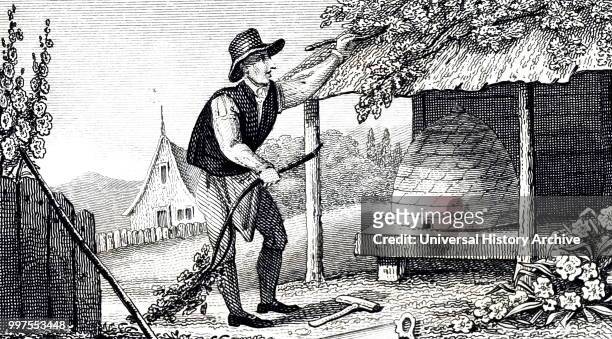 Engraving depicting a bee-keeper protecting a beehive from extreme temperatures by means of an awning. Dated 19th century.