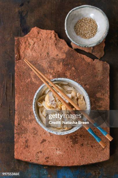 udon noodles with chicken - udon stock pictures, royalty-free photos & images