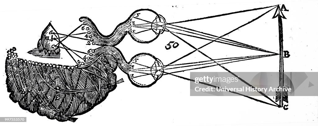 RenŽ Descartes' idea of vision.