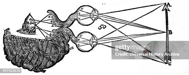 Diagram illustrating RenŽ Descartes' idea of vision, showing the function of the eye, optic nerve, and brain. RenŽ Descartes a French philosopher,...