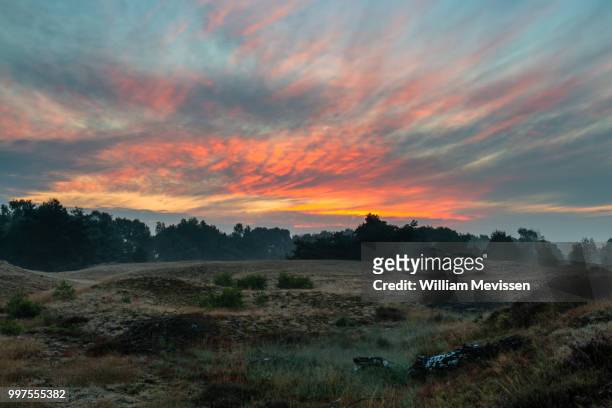 twilight fire - william mevissen stock pictures, royalty-free photos & images
