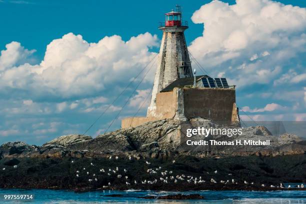 canada-new brunswick-gannet rock-gannet rock lighthouse - brunswick centre stock pictures, royalty-free photos & images