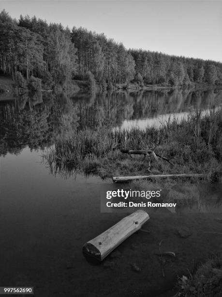 black and white landscape - romanov stock pictures, royalty-free photos & images