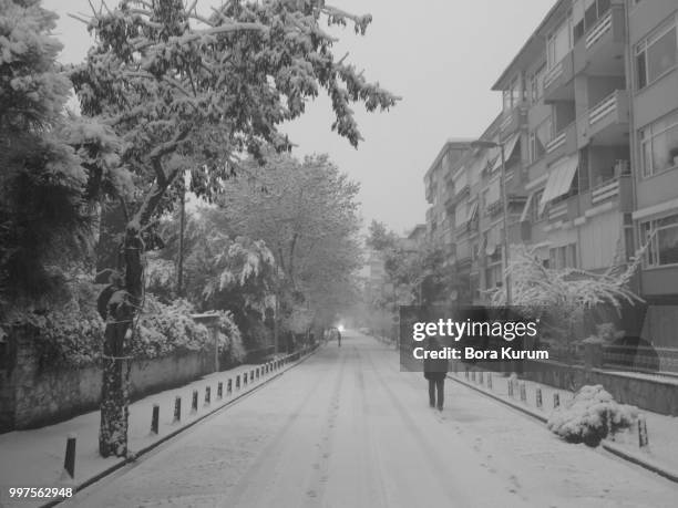 snow in black and white - snow white - fotografias e filmes do acervo