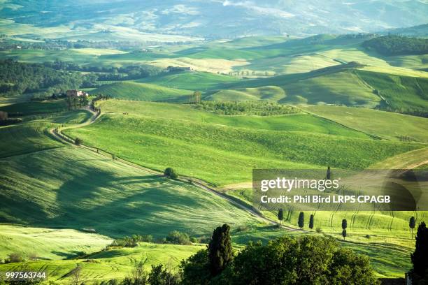 val d'orcia, tuscany/italy - may 16 : countryside of val d'orcia - val dorcia 個照片及圖片檔
