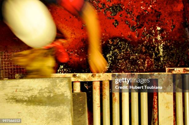 tarascon,france - animal blood 個照片及圖片檔