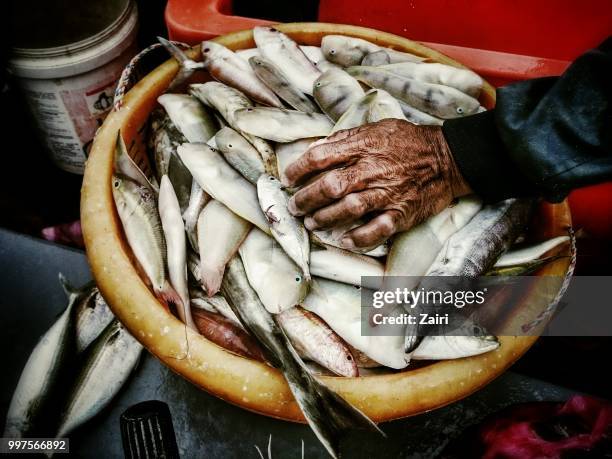 Hard Choices Photos and Premium High Res Pictures - Getty Images
