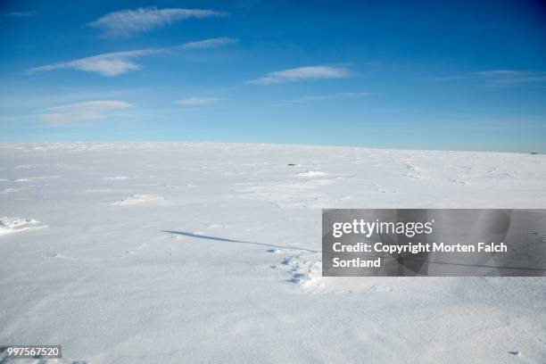 mountaintop in geilo - geilo stock pictures, royalty-free photos & images