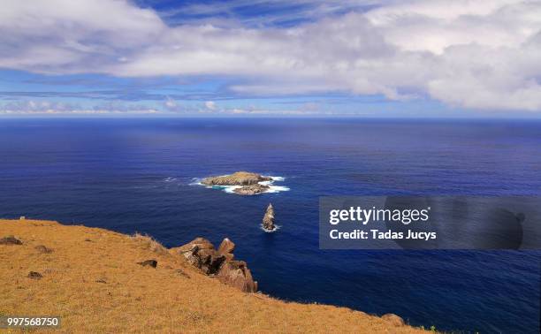 islands of motu nui and motu iti - motu iti stock pictures, royalty-free photos & images