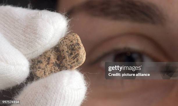 Archaeologist Sybille Wolf inspects a 40,000 year old bead made of ivory, which can be seen in a exhibition case at the Prehistoric museum in...