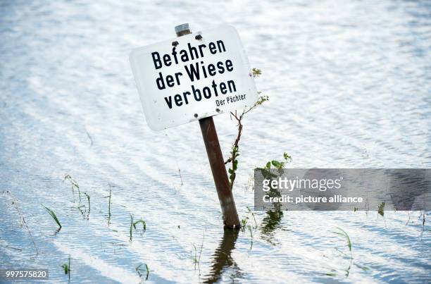Sign reading 'Befahren der Wiese verboten' can be seen on a flooded meadow in Harkenbleck, Germany, 28 July 2017. Ongoing rain has caused several...