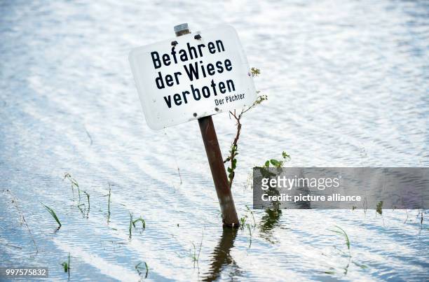 Dpatop - A sign reading 'Befahren der Wiese verboten' can be seen on a flooded meadow in Harkenbleck, Germany, 28 July 2017. Ongoing rain has caused...