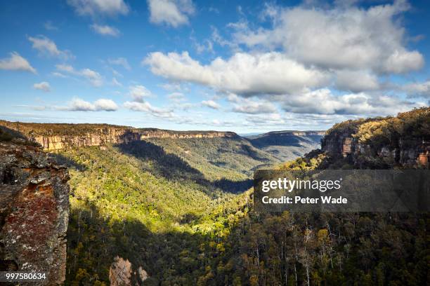 the escarpment at fitzroy falls - escarpment stock pictures, royalty-free photos & images
