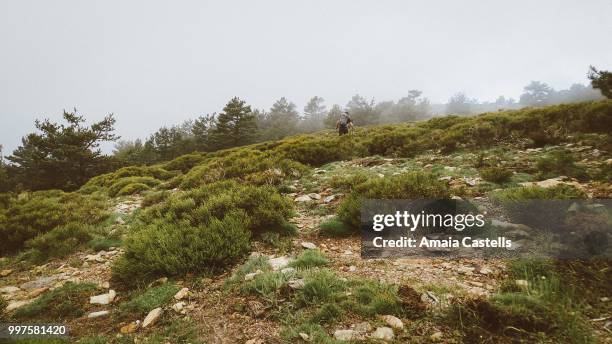 alpinismo - alpinismo stock pictures, royalty-free photos & images