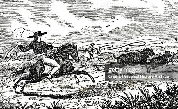 The art of the lasso - The Gaucho parade