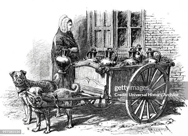 Engraving depicting an Antwerp milk woman making her deliveries using a small cart pulled by dogs. Dated 19th century.