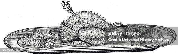 Engraving depicting a Dindonneau a la Millicient - a turkey larded, or rather pique, braised, and served with savoury timballes and sauce follows....