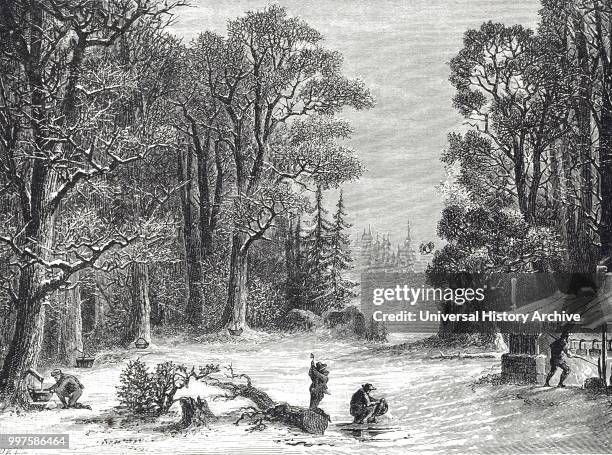 Engraving depicting the collecting and boiling the sap of the Sugar Maple in North America. Dated 19th century.