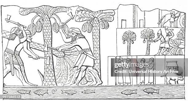 Engraving depicting an Assyrian bas relief of Assyrians cutting down the date palms in a conquered city. Dated 19th century.