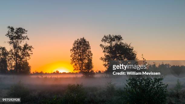 sunrise mist - william mevissen stock pictures, royalty-free photos & images