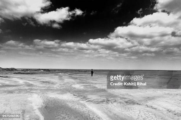 white rann of kutch - rann of kutch stock pictures, royalty-free photos & images