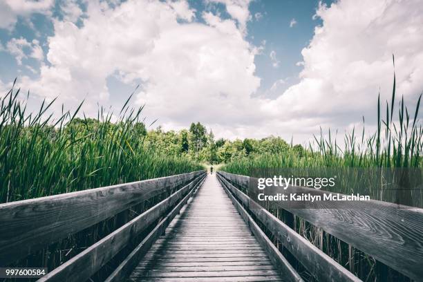 mer bleue boardwalk - mer fotografías e imágenes de stock