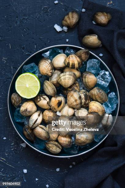 raw clams over ice - unprocessed bildbanksfoton och bilder