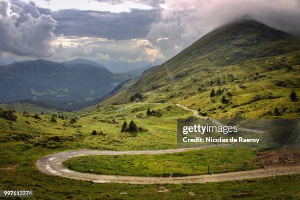 château-d'oex,switzerland - château stock pictures, royalty-free photos & images