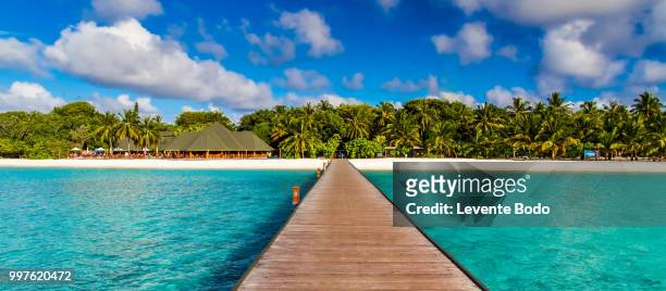 paradise beach in maldives - paradise beach stock pictures, royalty-free photos & images