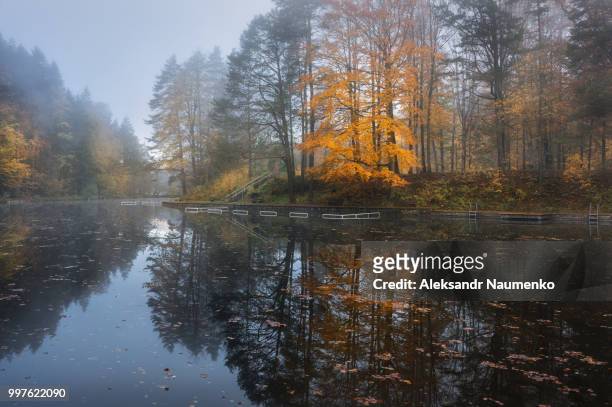 germany. fussen. lake autumn mitter - fassen foto e immagini stock