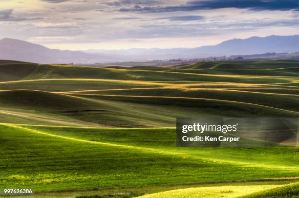 Morning Rimliting Rim Light Photos and Premium High Res Pictures - Getty Images