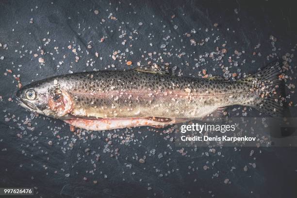 trout and sea salt - sea trout stock pictures, royalty-free photos & images