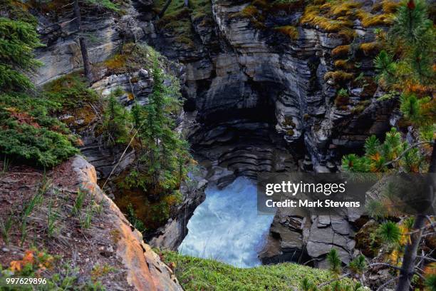 roaring waters of the athabasca river - athabasca river stock pictures, royalty-free photos & images