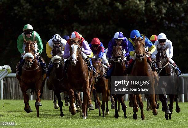 Lee Newman riding Connor leads the field out of the bend in the 2.40 European Breeders Fund Maiden Stakes at Kempton Races, Kempton Park, London....