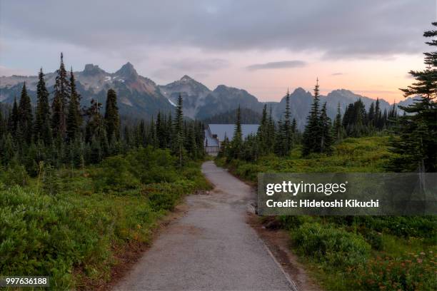 dusk at the foot of mt. rainier - kikuchi stockfoto's en -beelden