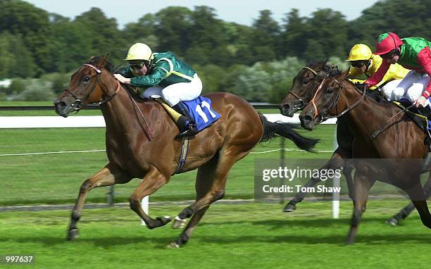 Ringmoor Down ridden by Seb Sanders leads the field on the straight in the 2.10 European Breeders Fund Maiden Fillies Stakes at Kempton Races,...