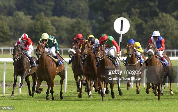 Ringmoor Down ridden by Seb Sanders leads the field on the straight in the 2.10 European Breeders Fund Maiden Fillies Stakes at Kempton Races,...