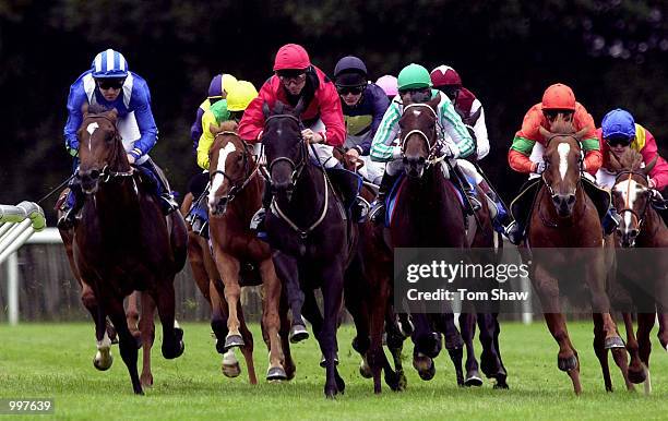 Exploring ridden by John Reid leads the field out of the bend in the 3.15 European Breeders Fund Maiden Stakes at Kempton Races, Kempton Park,...