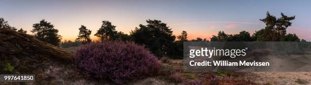 panorama - heather twilight view - william mevissen stock pictures, royalty-free photos & images