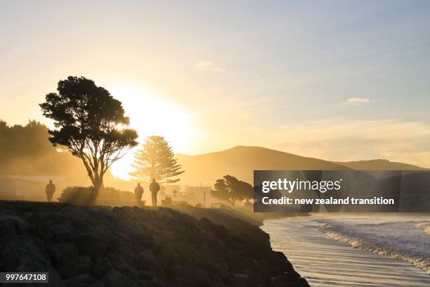 backlit people walking in golden sunlight with sea mist and sun flare, castlepoint, wairarapa - man mist beach stock-fotos und bilder