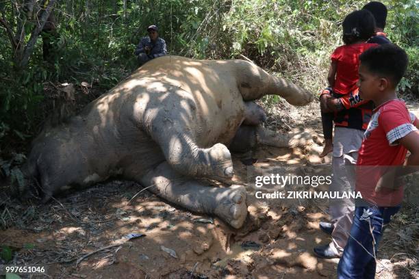 Graphic content / Villagers look at a dead female elephant at the Banda Alam plantations in East Aceh, Aceh province, on July 13, 2018. - An...