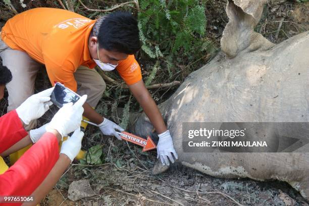 Graphic content / Indonesian police and rangers conduct an investigation on a dead female elephant at the Banda Alam plantations in East Aceh, Aceh...