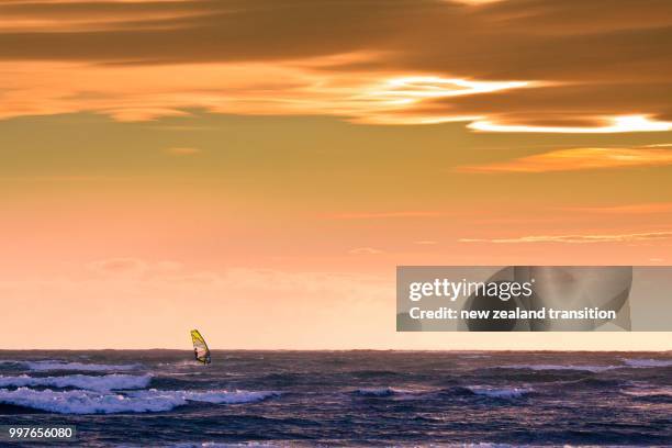 windsurfing in golden sunset light in porirua harbour, wellington - wellington harbour stock pictures, royalty-free photos & images