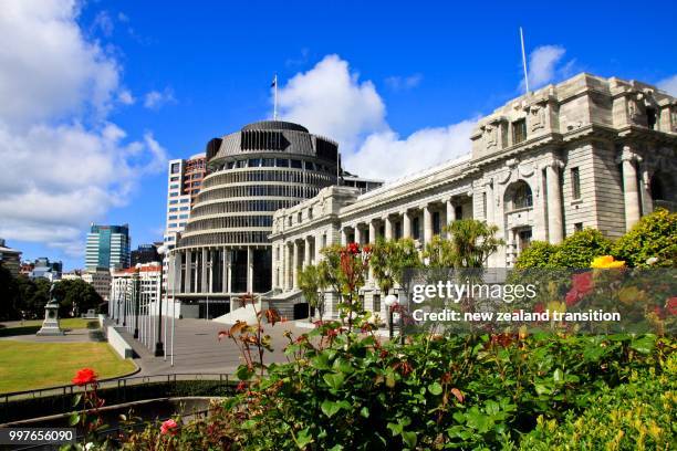 the beehive & parliament buildings with spring roses in foreground, wellington - wellington new zealand stock-fotos und bilder