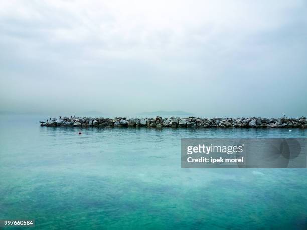 beautiful pier with birds, sky and sea - ipek morel stock pictures, royalty-free photos & images