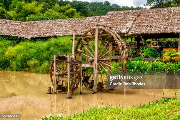 waterwheel in a rice paddy - 水車 ストックフォトと画像